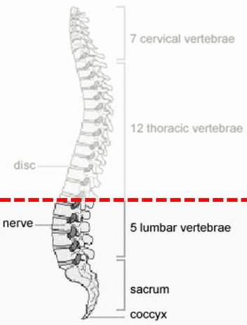 How a spinal cord injury can affect your bladder