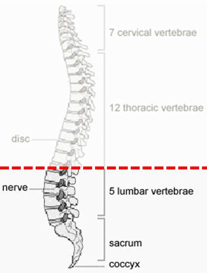 How A Spinal Cord Injury Can Affect Your Bladder